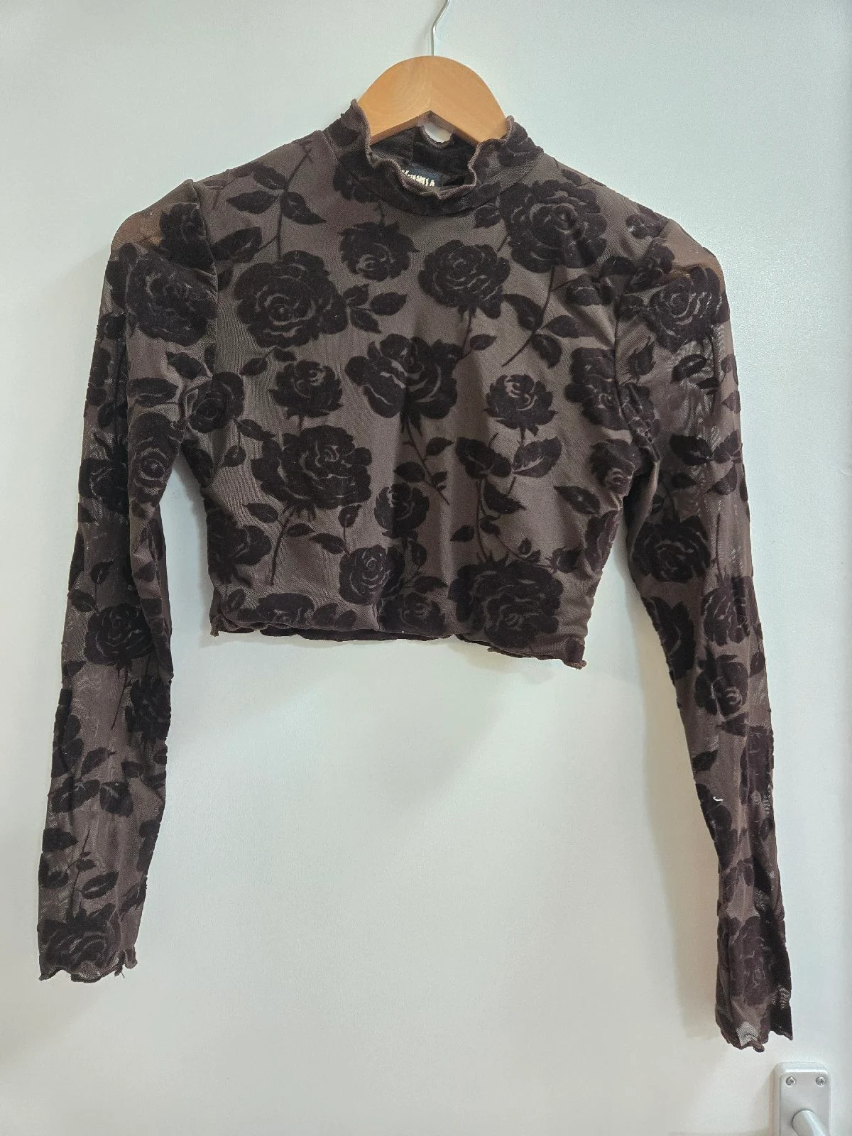Pink Vanilla Chocolate Flocked Velvet Rose Sheer Mesh Cropped Top - Size 10