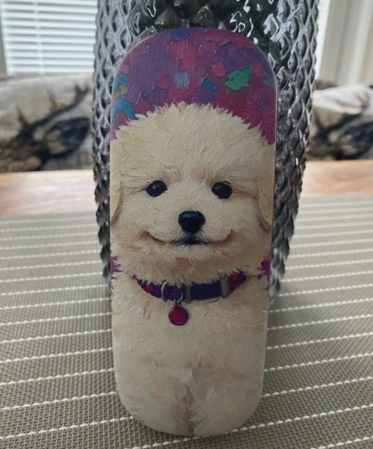 Puppy dog spectacle case