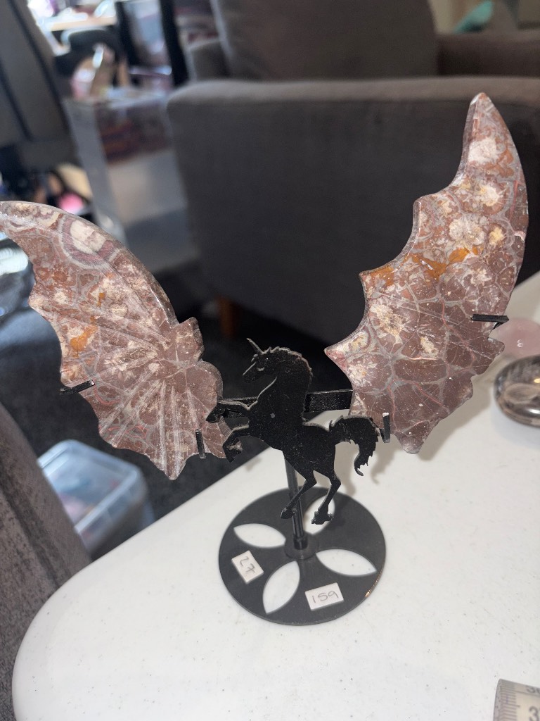 Stunning Jasper wings on a black stand