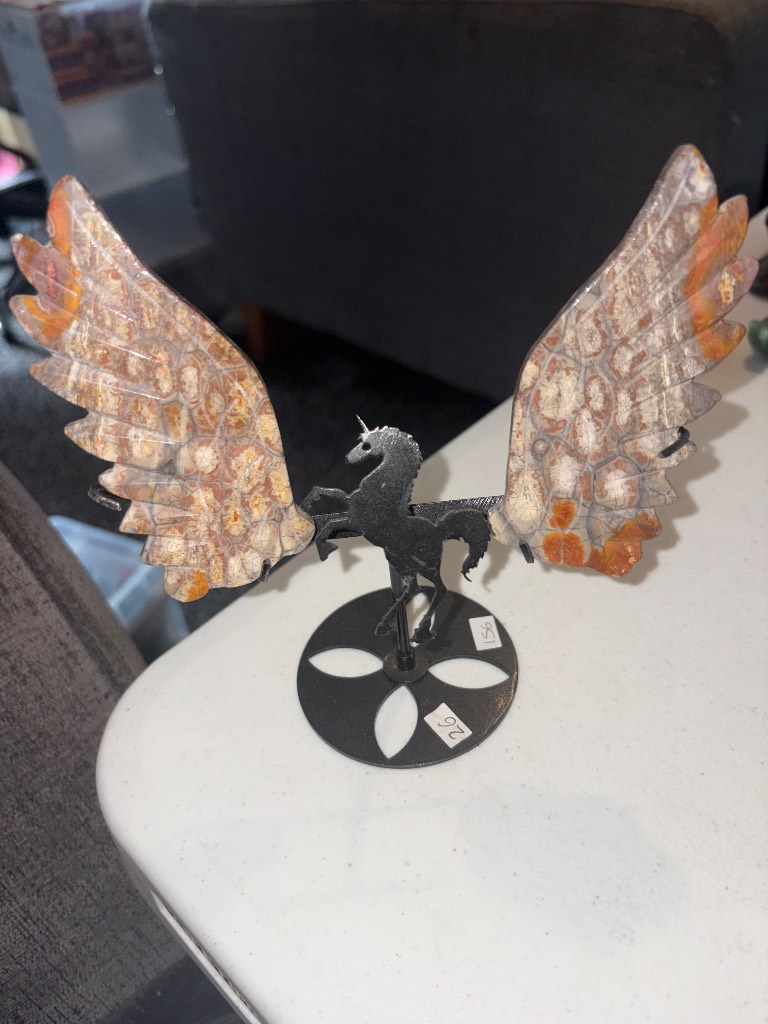 Beautiful Jasper wings on a black stand
