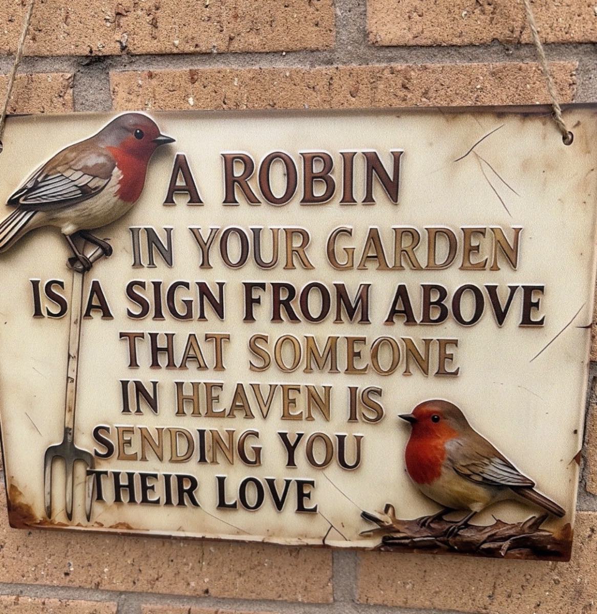 11x9 inch extra large wooden robin sign