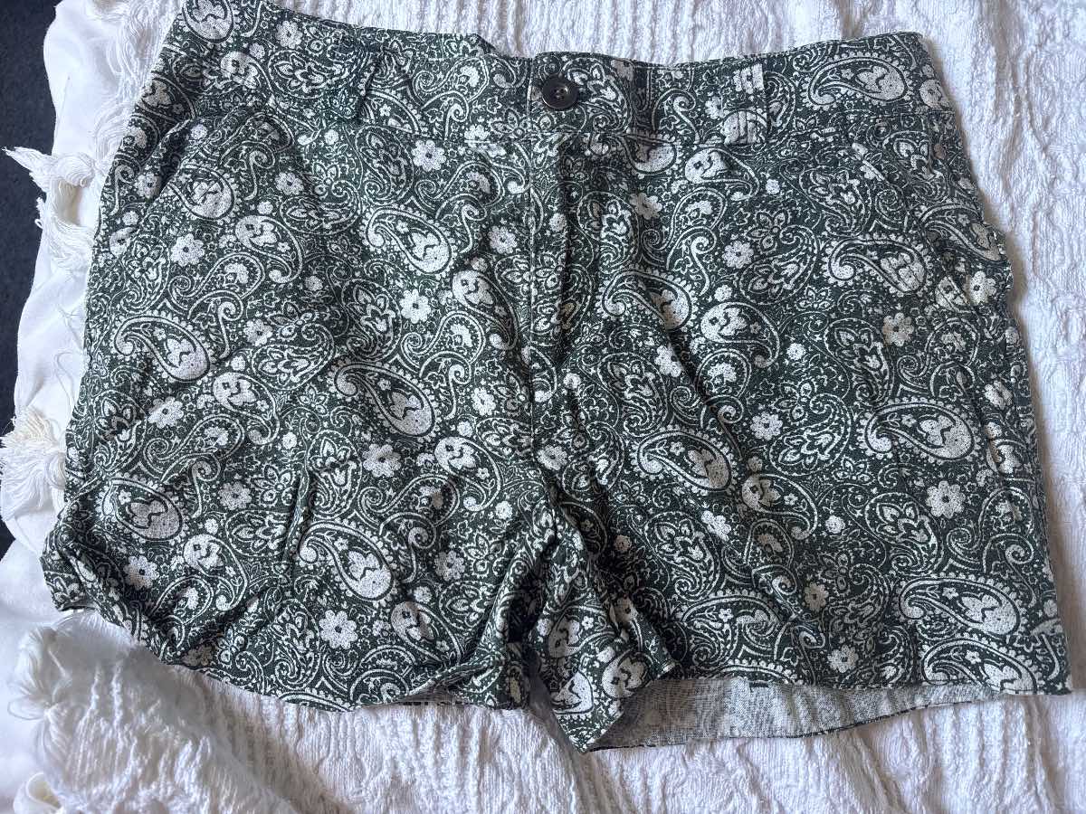 Green & White Paisley Print Shorts size 12