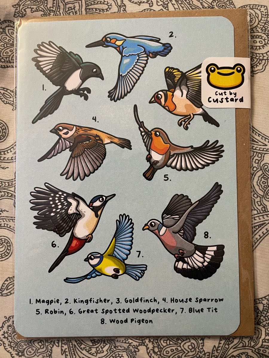 Greetings Card: British Birds