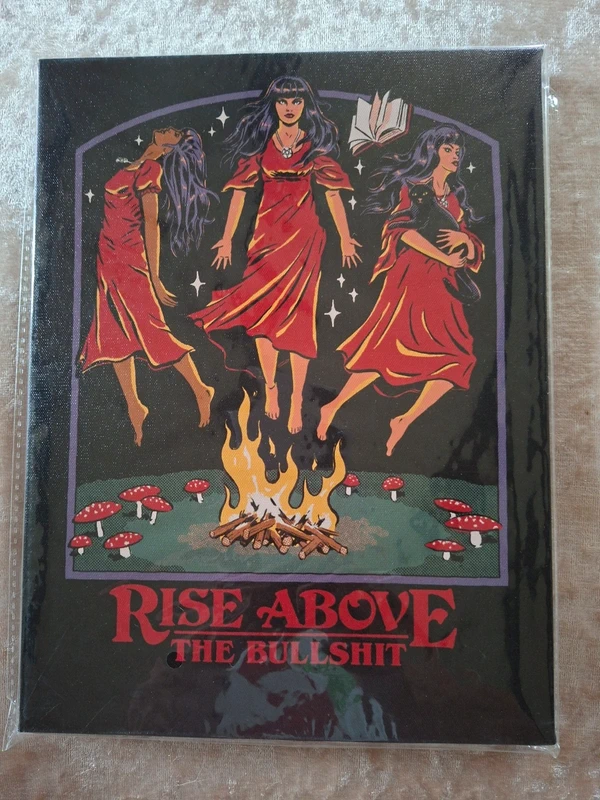 Steven Rhodes Canvas Plaque Wall Art – "Rise Above The Bullshit" Retro Gothic Decor 19x25cm