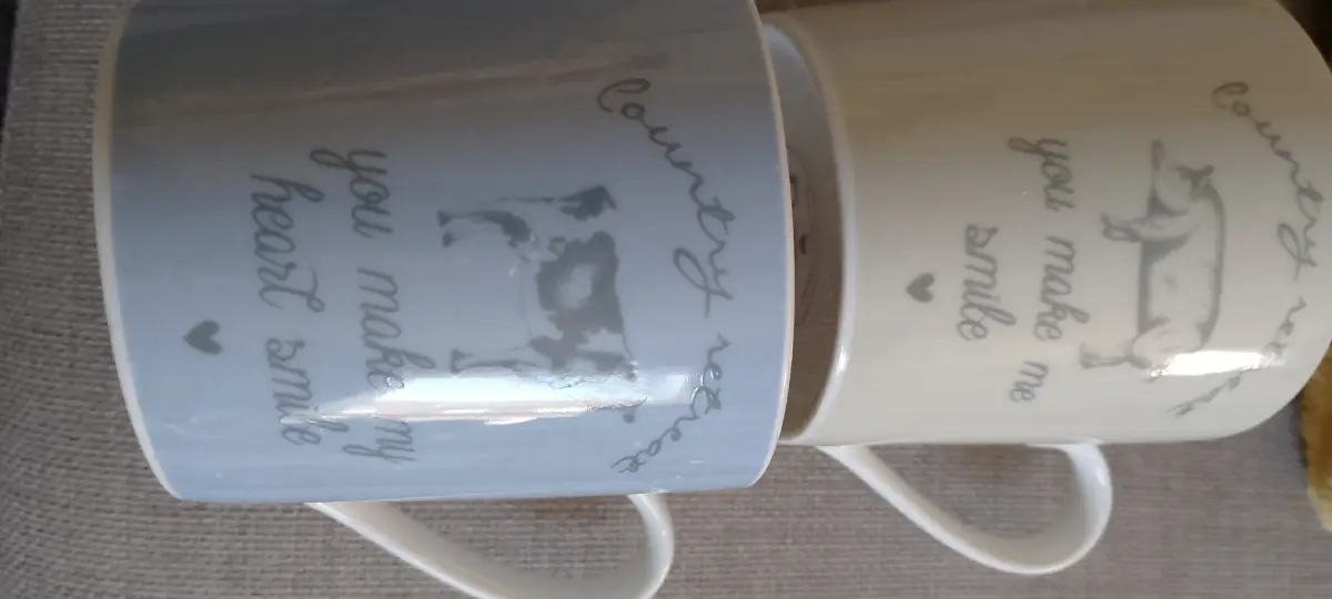 Pair of farmcore mugs