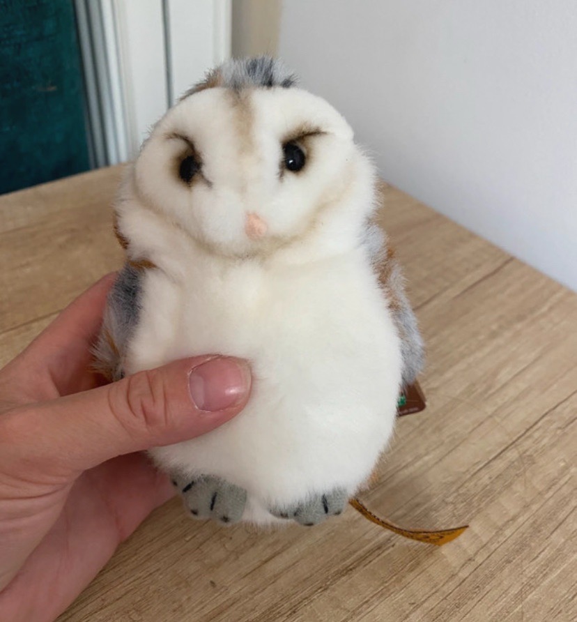 Living Nature Barn Owl Plush Soft Toy 15cm Tagged Realistic Owl