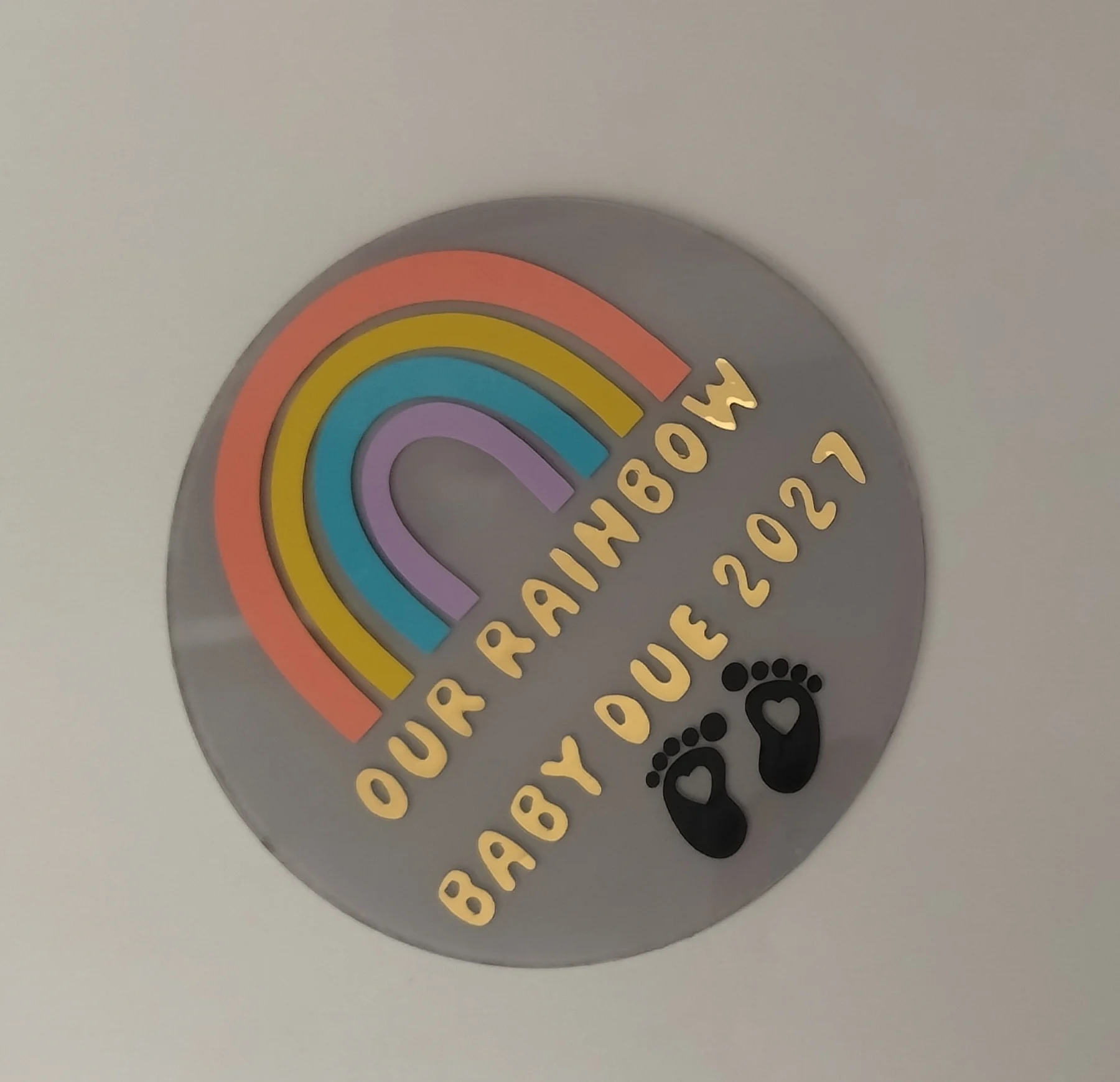 Pregnancy Announcement Disc 2027