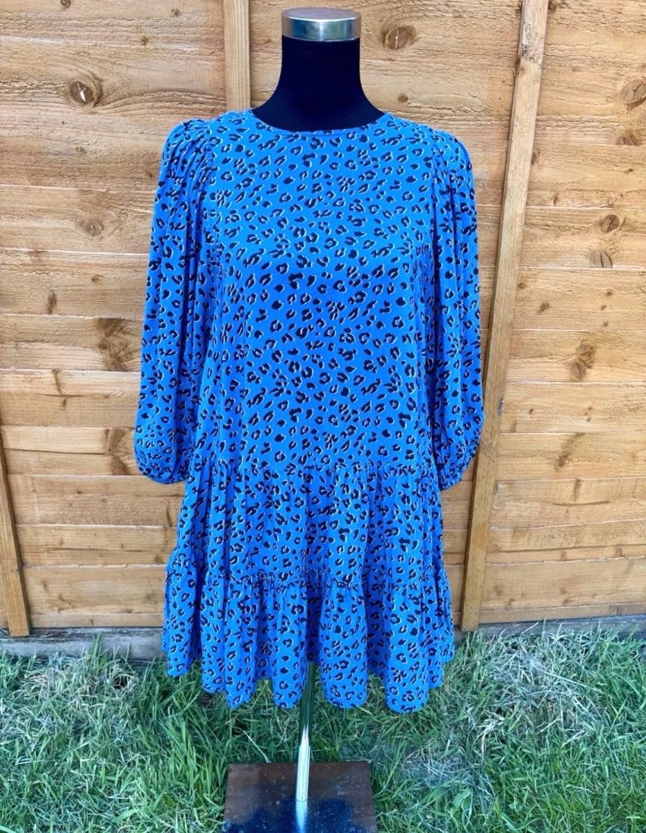 Zara Blue Long Sleeve Leopard Print Ruffle Mini Dress Size Small