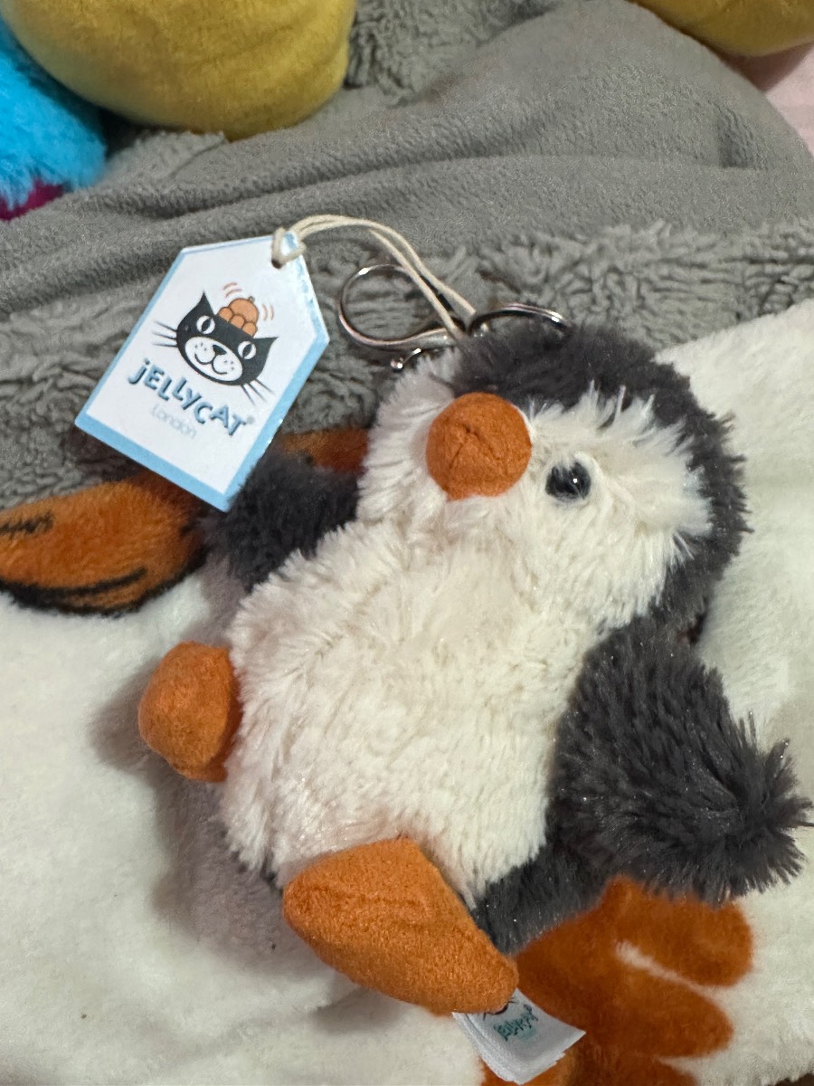 Jelly cat penguin