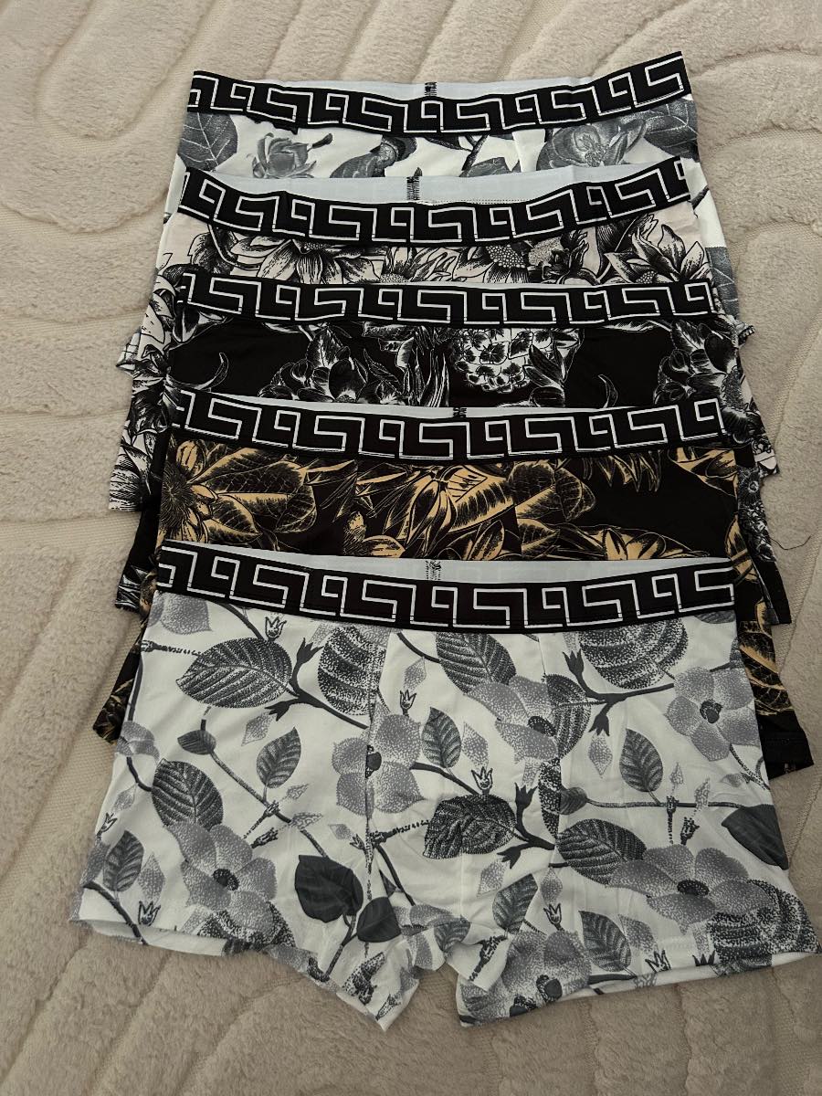 Oak of 5 new boxers