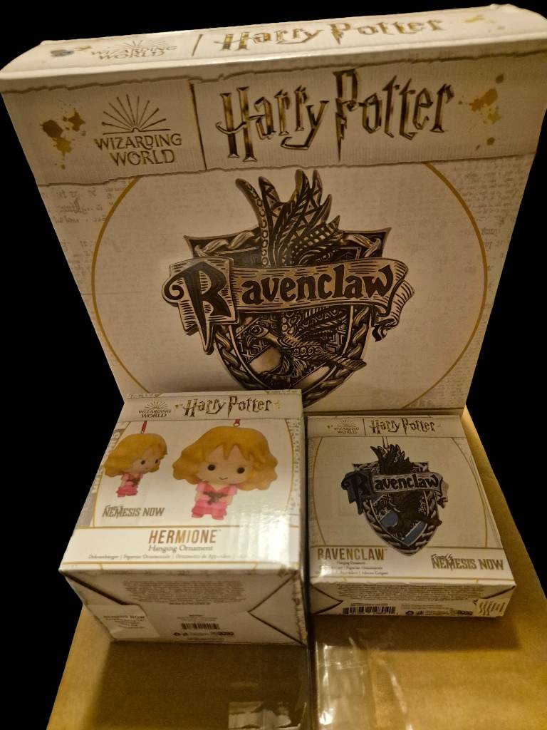 Harry Potter Wizarding World Ravenclaw and Hermione Ornaments