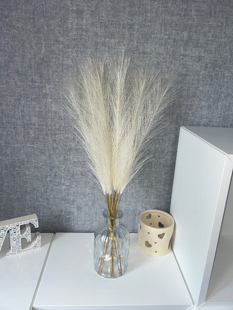 Ivory Pampas Grass - 11 Stems