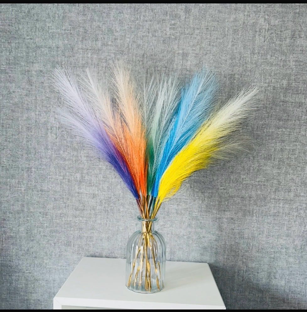 Rainbow Pampas Grass - 17 Stems