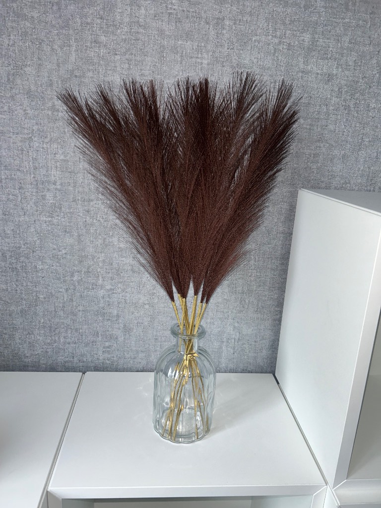 Chocolate Brown Pampas Grass