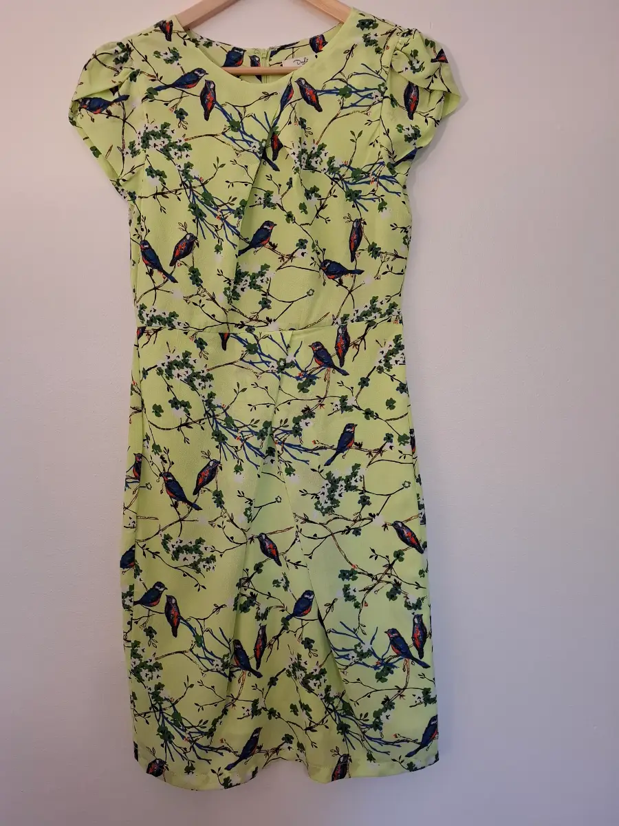 Darling Dress. Whimsical Bird Print. Size 10. Light Green. Wedding Guest. Races.
