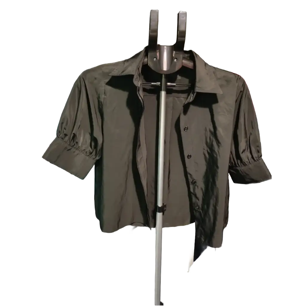 Zara cropped shirt