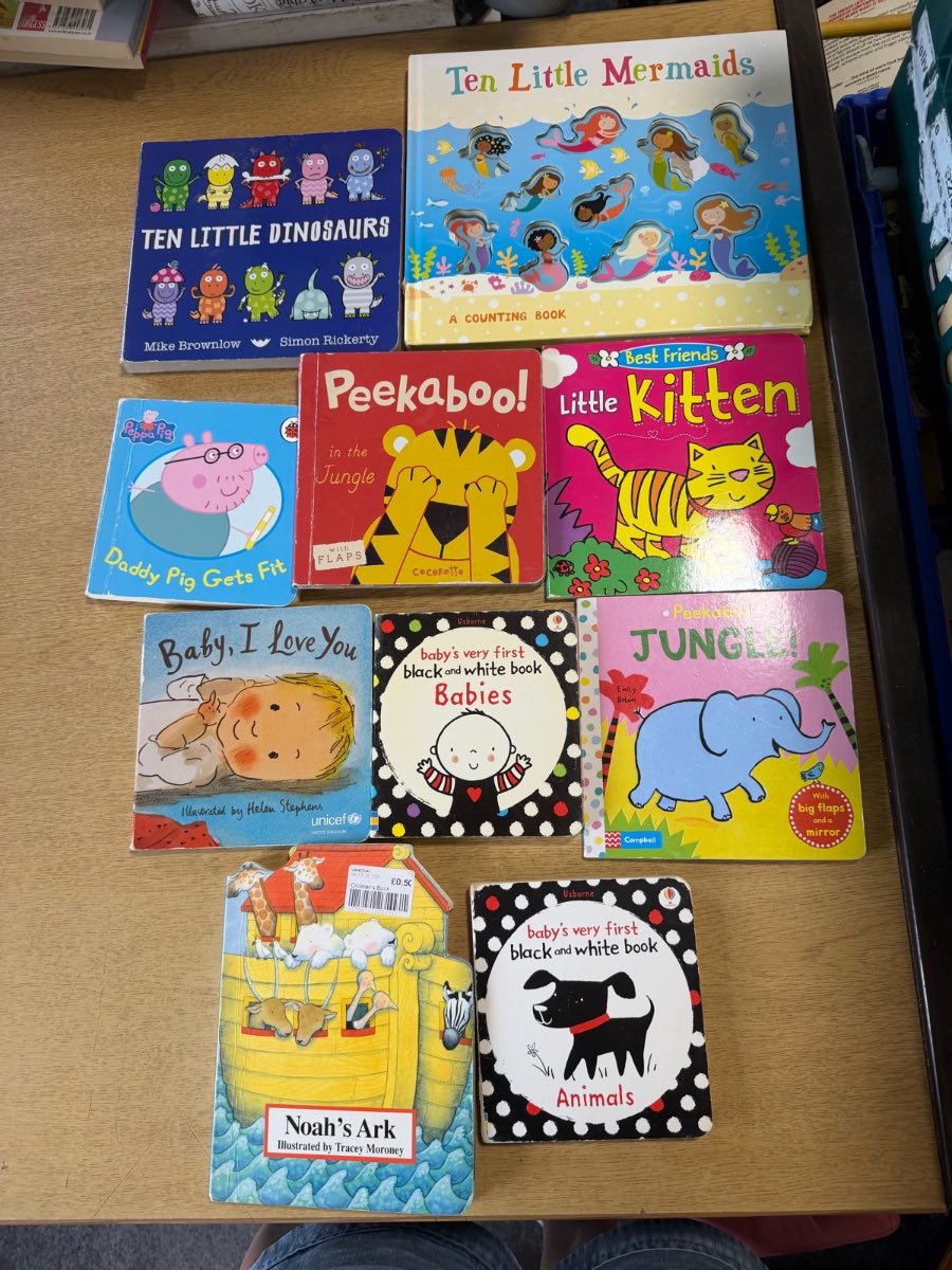 Baby hardboard book bundle pre loved