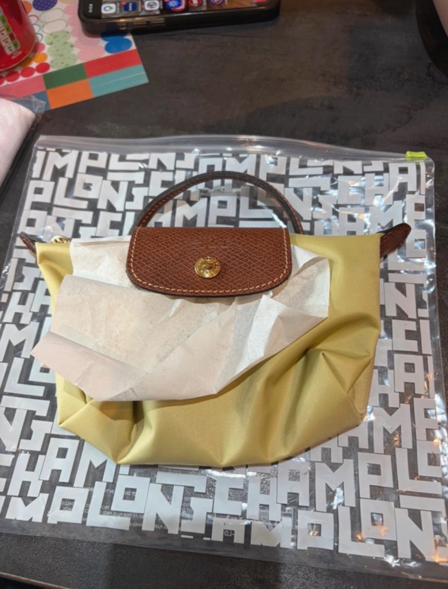 longchamp mini bag