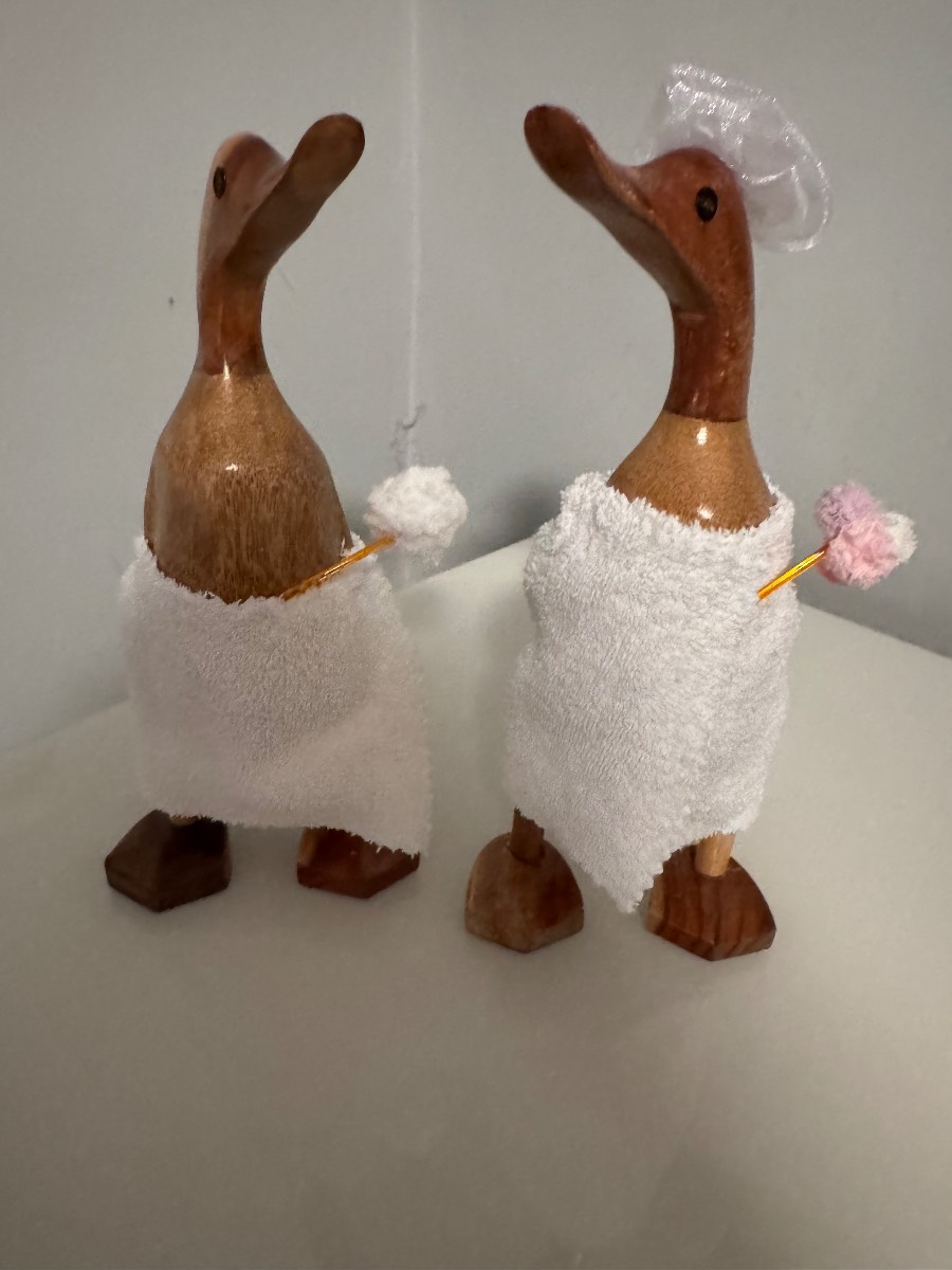 A pair of wooden ducks rub a dubdub