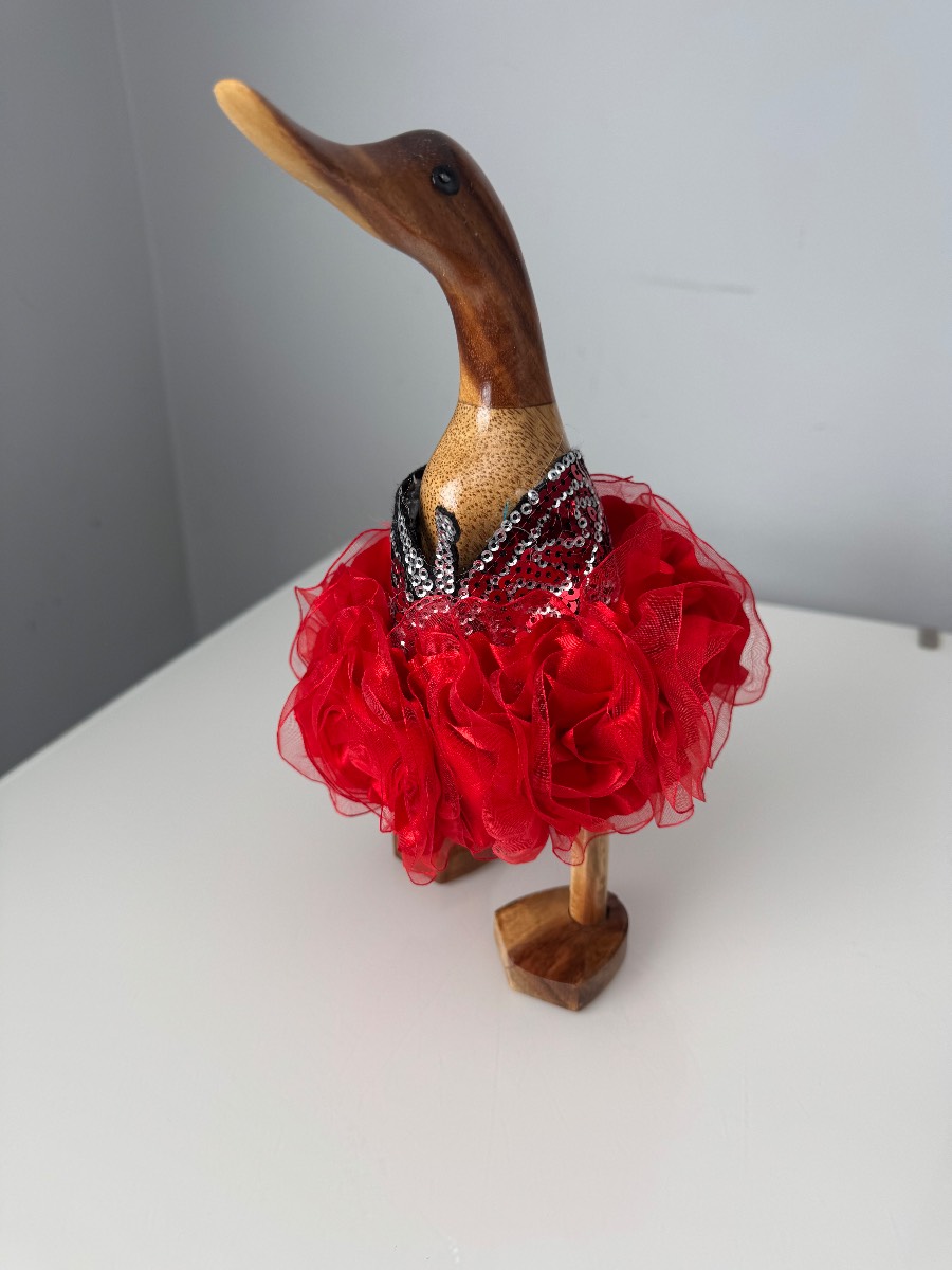 Beautiful wooden duck lets dance