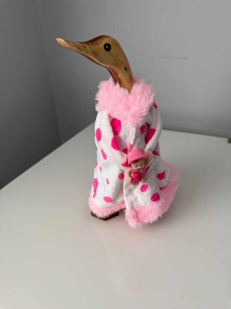 Wooden Duck ready for bed
