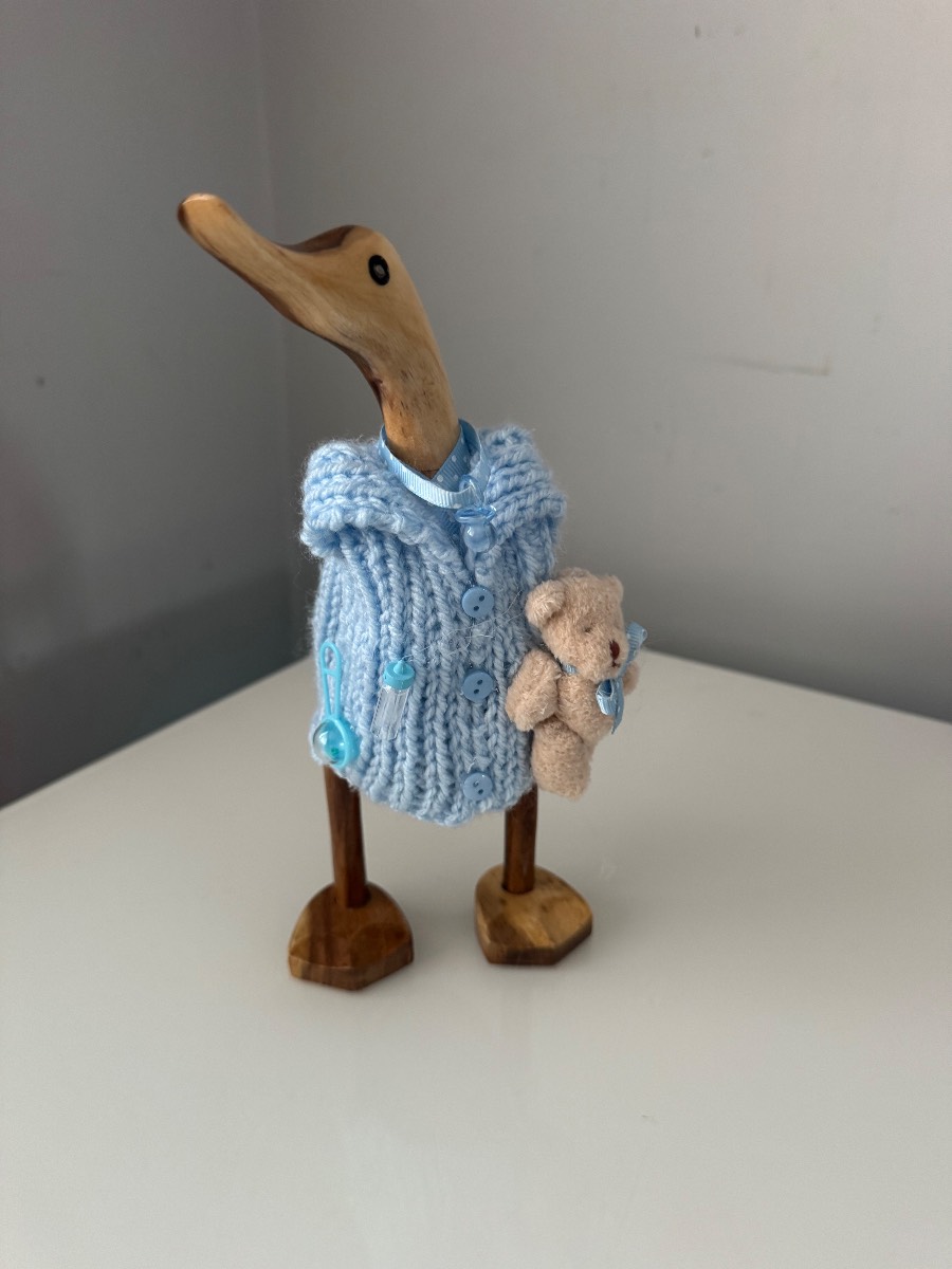 Baby wooden Duck all dressed