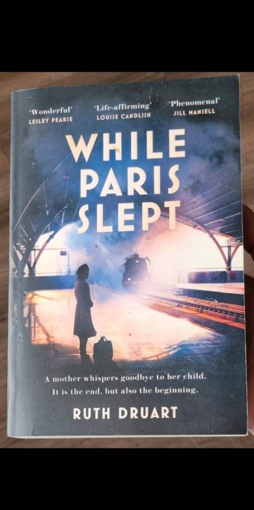 While Paris Slept by Ruth Druart