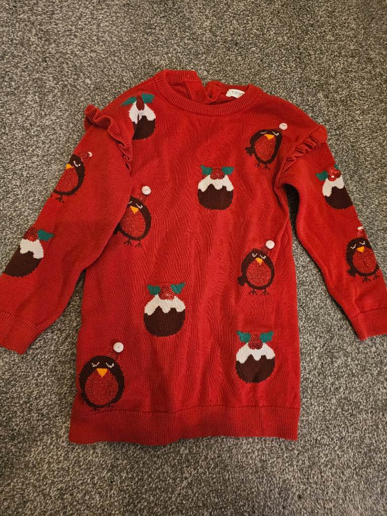 Next 12-18 months Christmas pudding robbing jumper girls dress