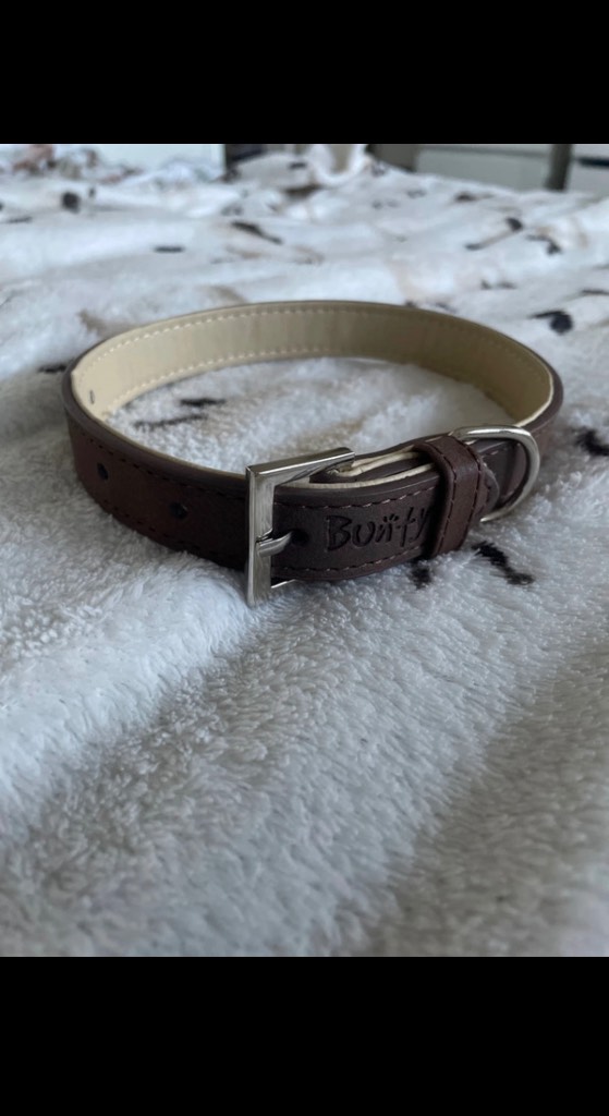 Bunty Leather Style Dog Collar - Medium