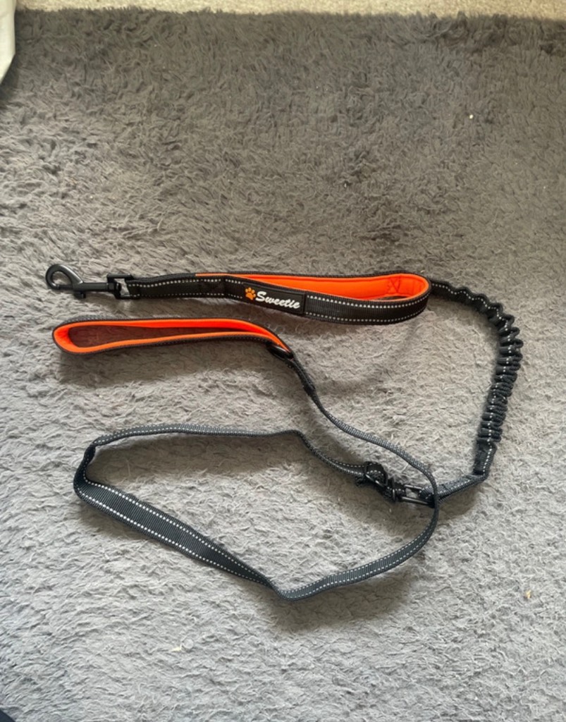 Sweetie Bungee Dog Lead