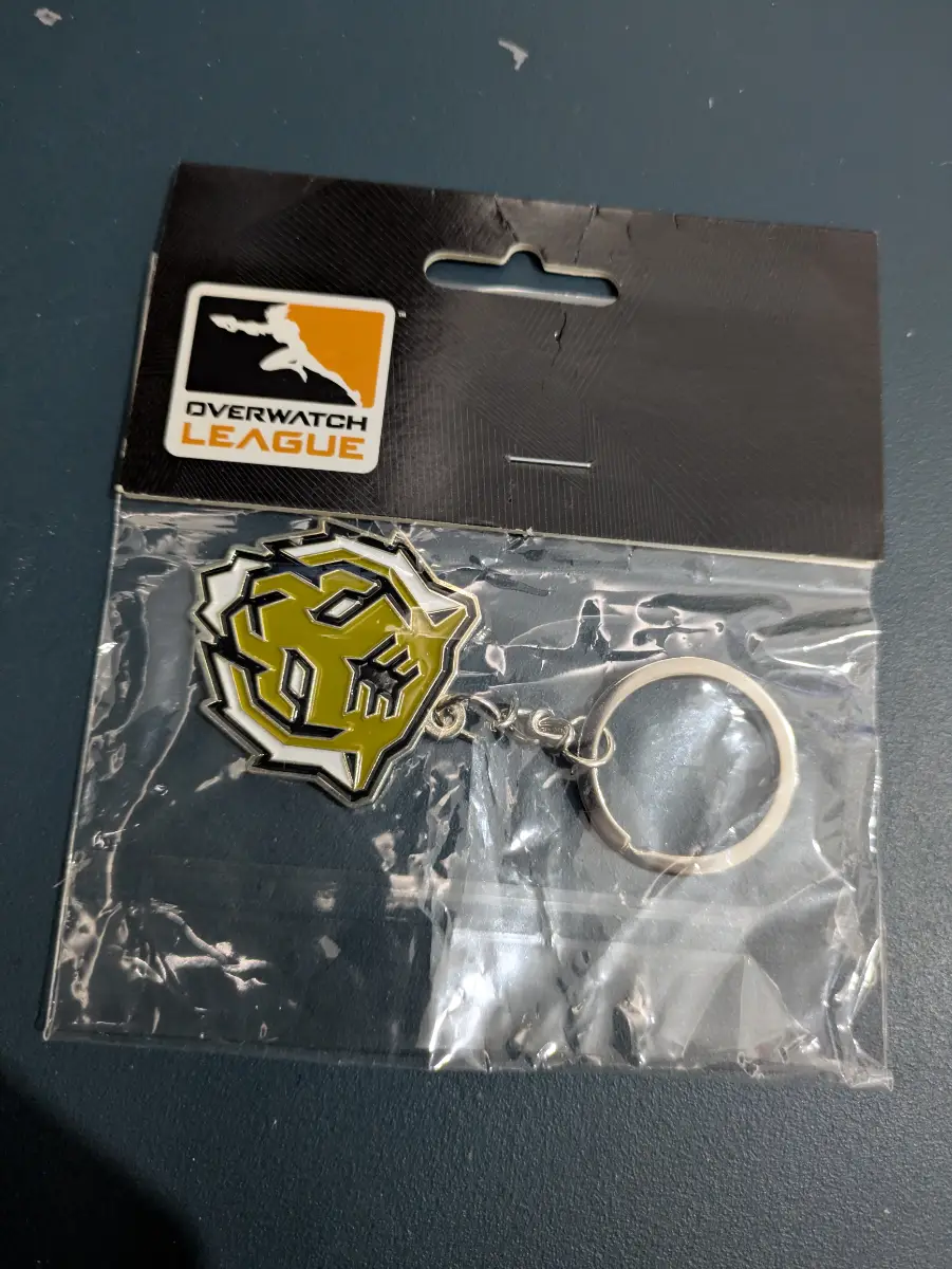 Seoul Dynasty Overwatch League keyring