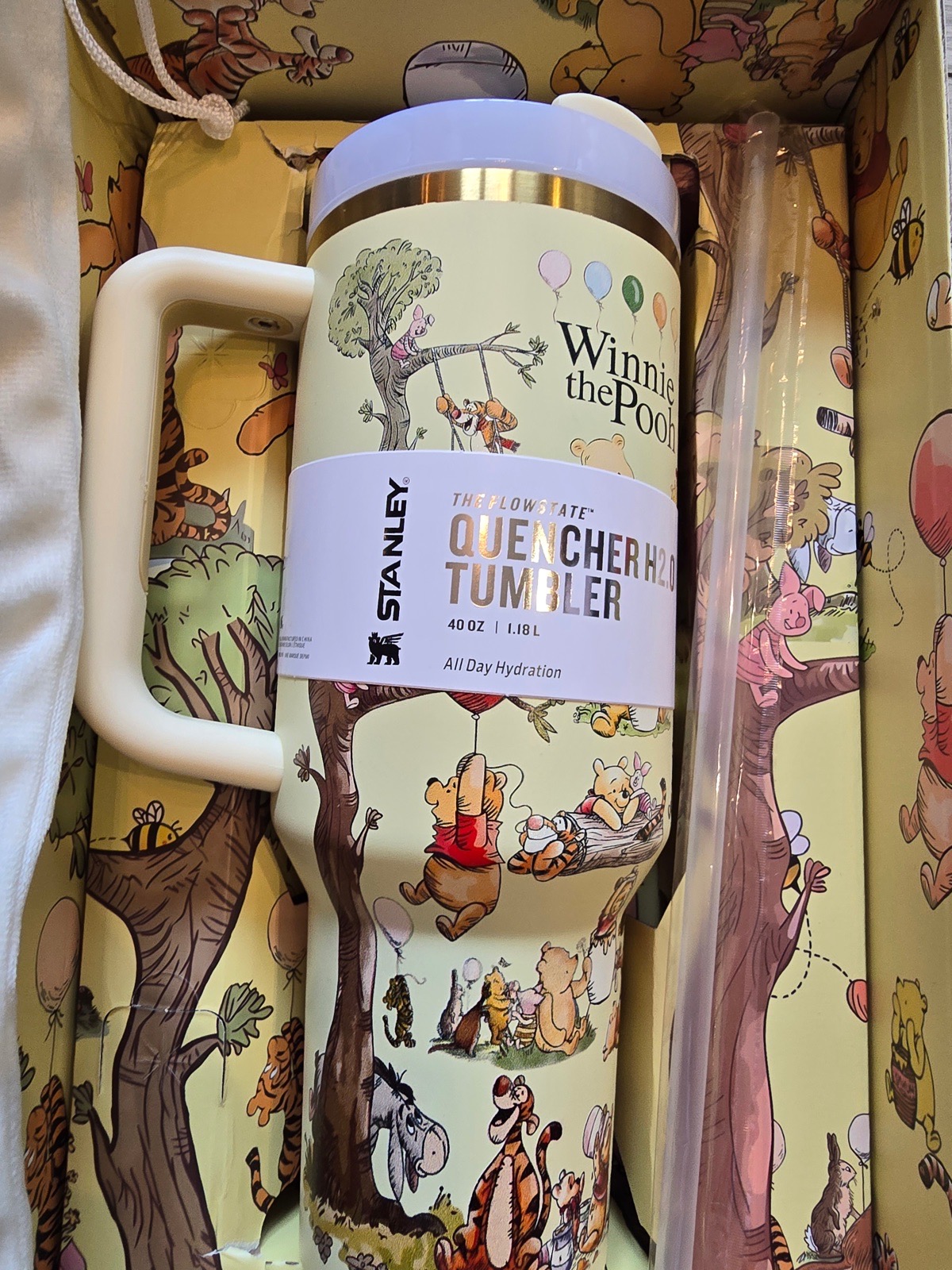 Winnie the Pooh Stanley bottle