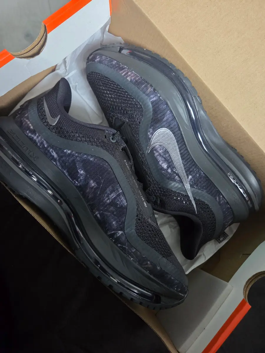 Nike pegasus premiums