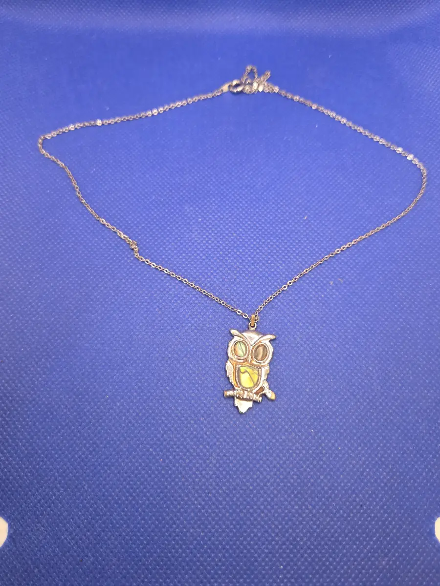 Retro Natural Owl Charm Necklace Costume Jewelry