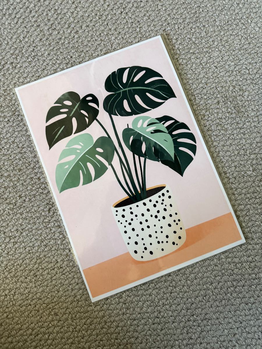 Monstera Plant A4 Wall Art Poster Print