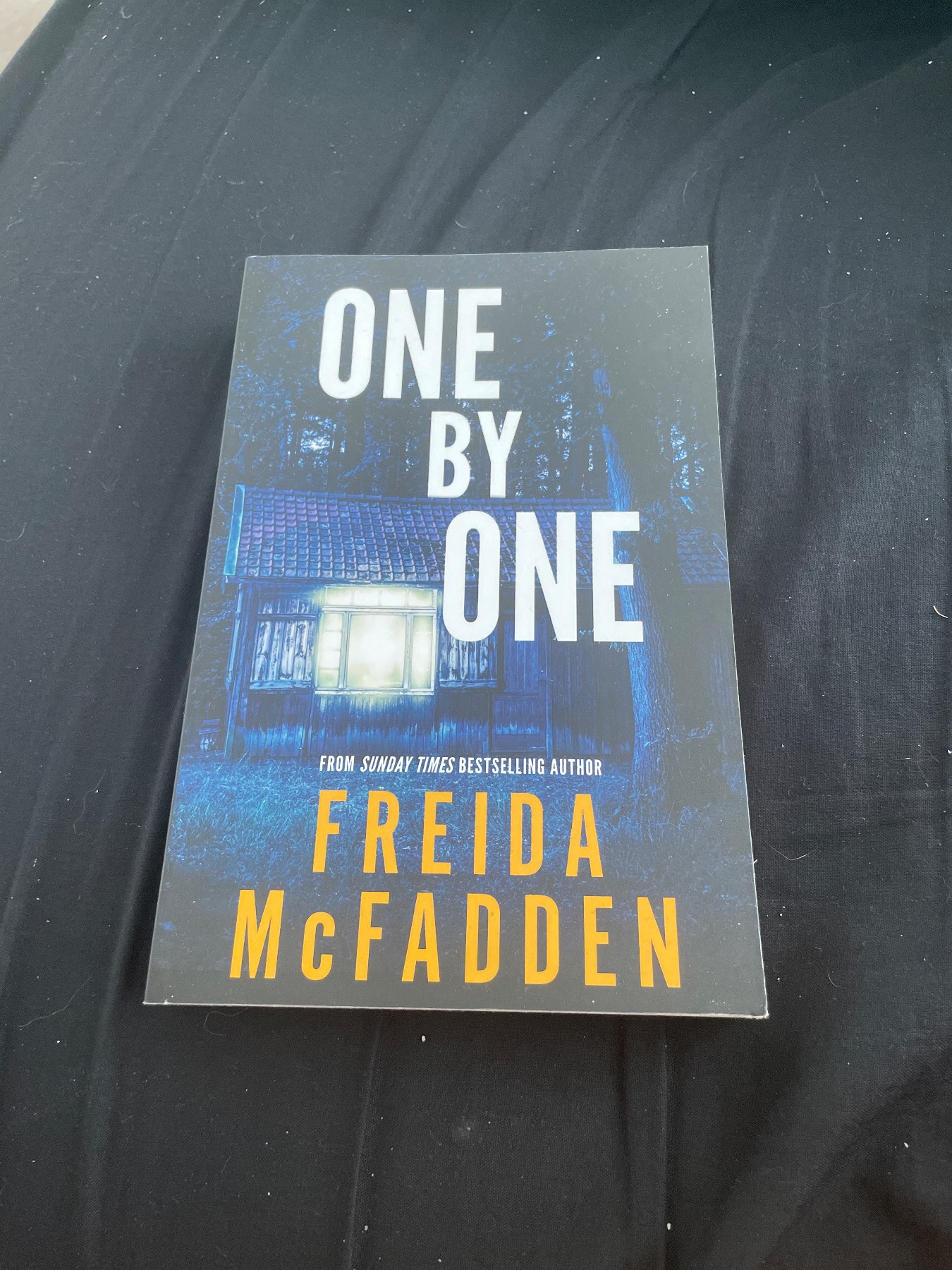 One by One by Freida McFadden