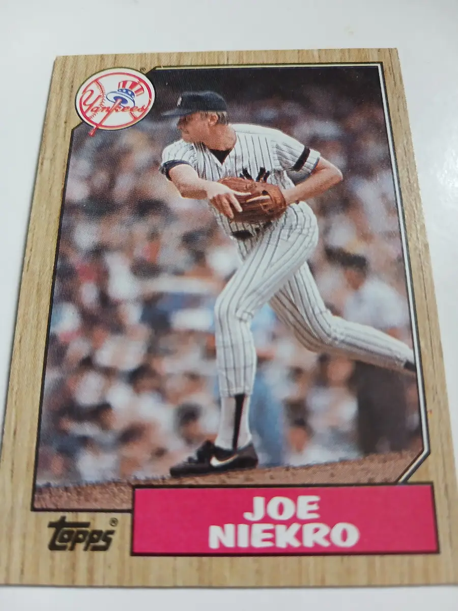 Joe Niekro And Brian Fisher MLB Pitchers New York Yankees Topps 1987