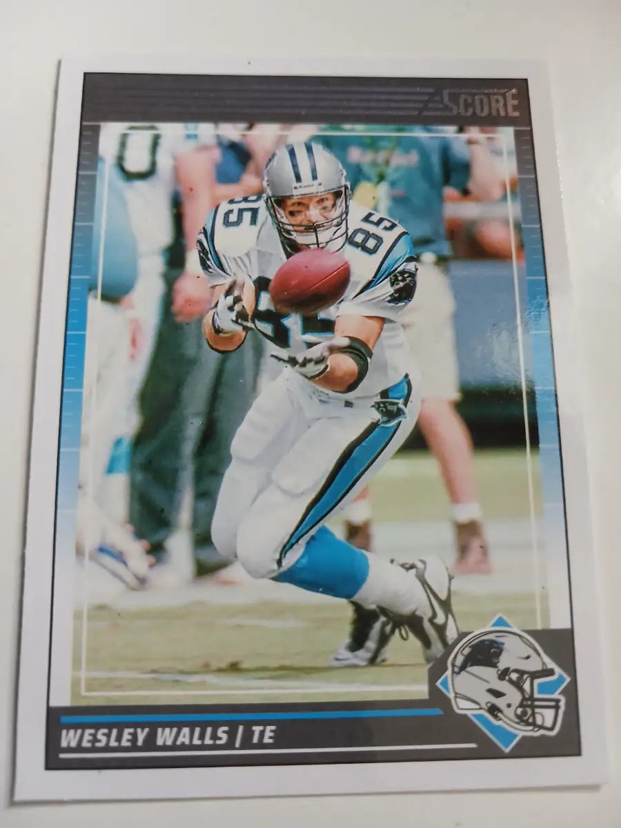 Wesley Walls NFL Tightend Carolina Panthers Score 2024