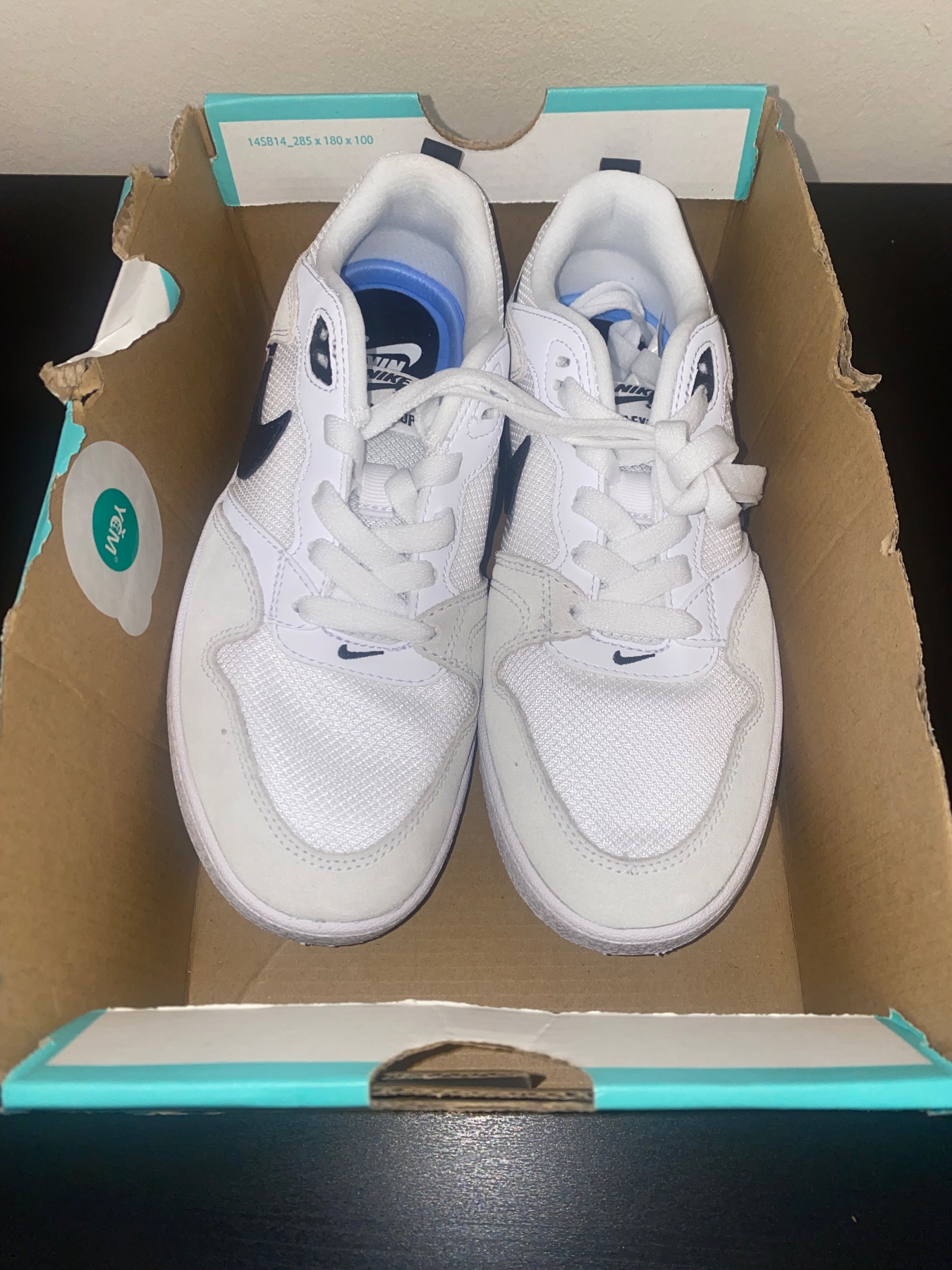 Nike SB Alleyoop Skate Shoes – White / Black