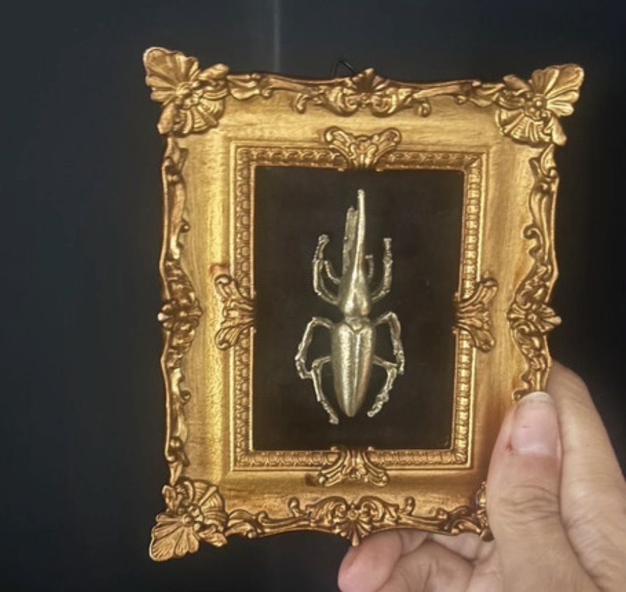Vintage style frame with faux taxidermy bug