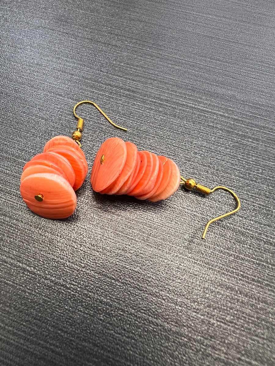 Lovely shell earrings