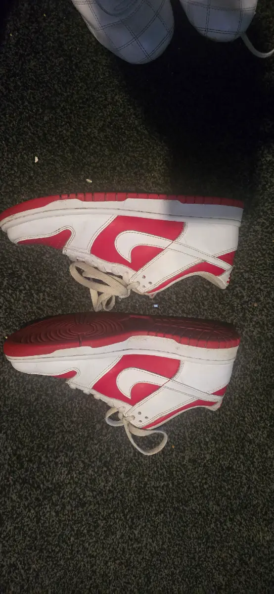 Nike Dunk Low Championship Red