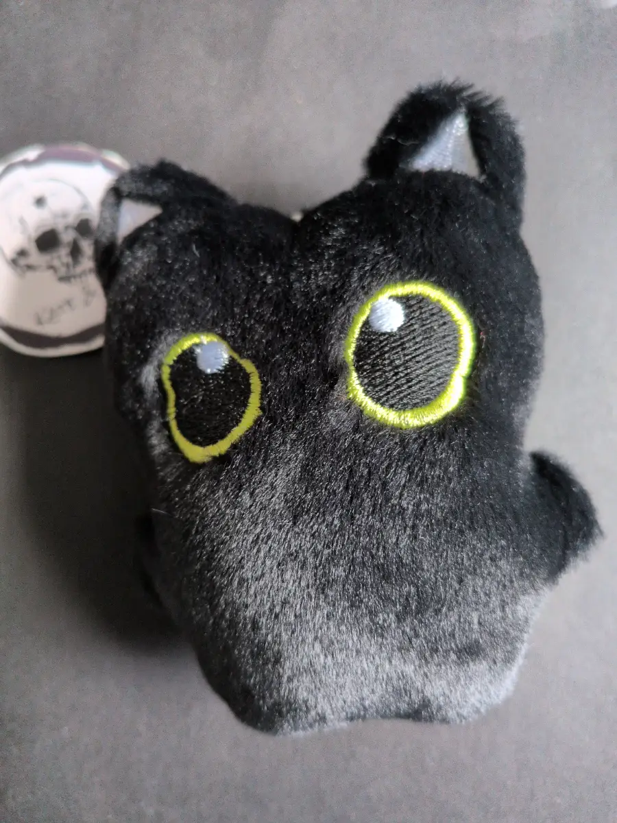 Black cat plushie
