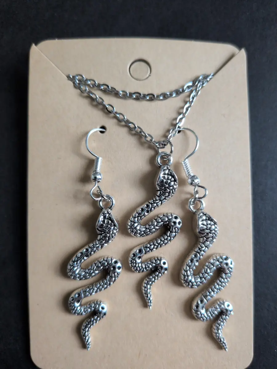 Stainless Steel Snake Jewellery Set • Matching Pendant Necklace & Earrings