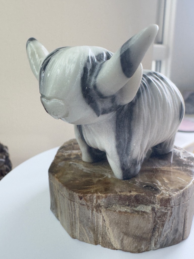 Taji chi highland cow