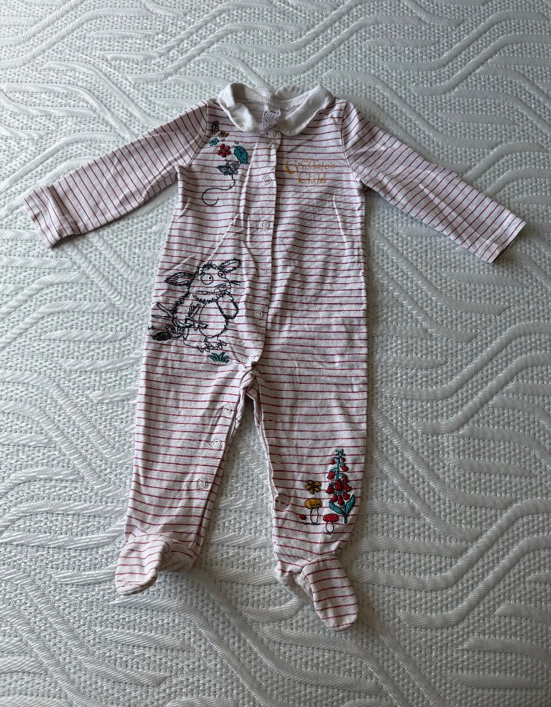 Tu baby girl pink flowers cute The Gruffalo baby grow sleepsuit 6-9 months