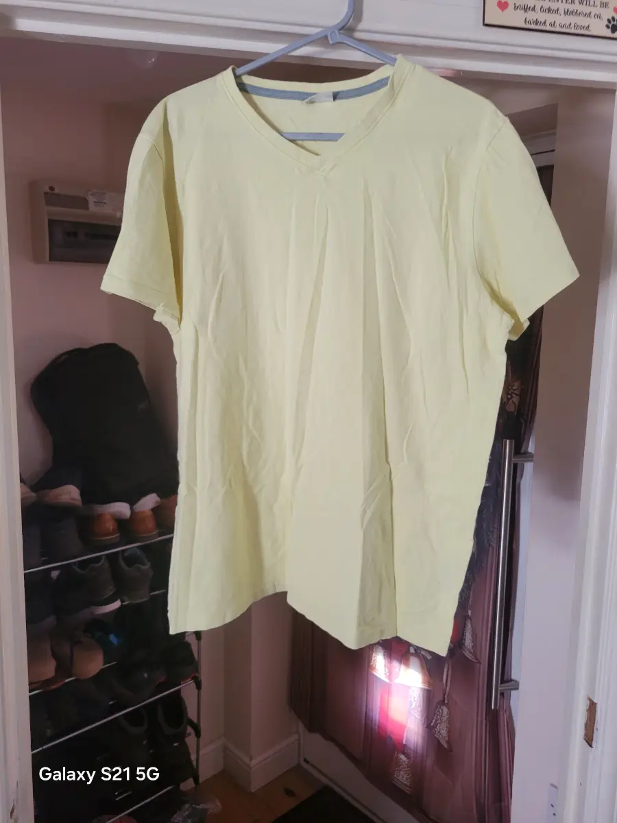 Mens plain t shirt