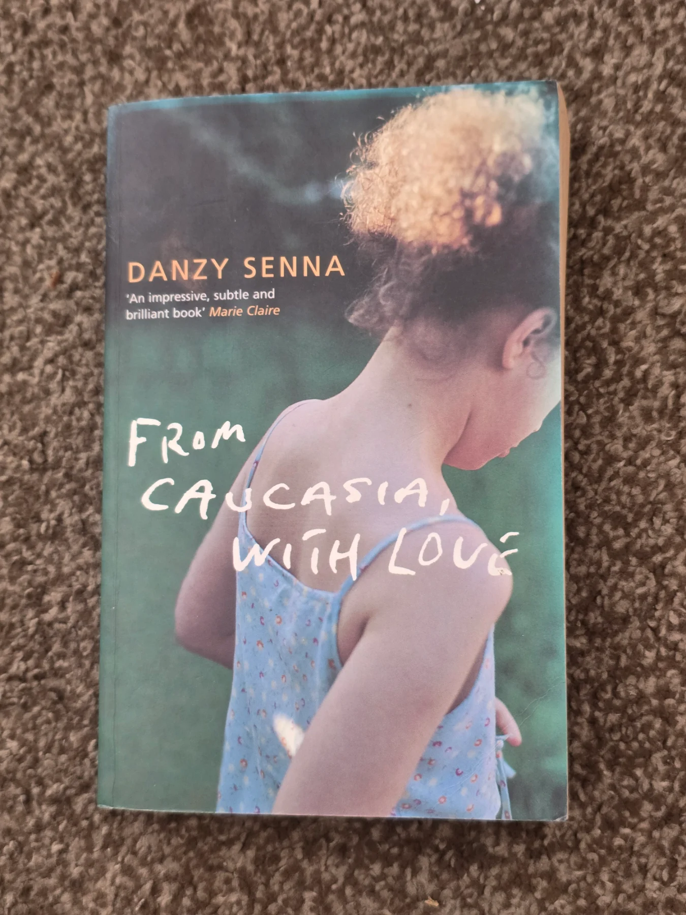 Book - From Caucasia, with love - By Danzy Senna