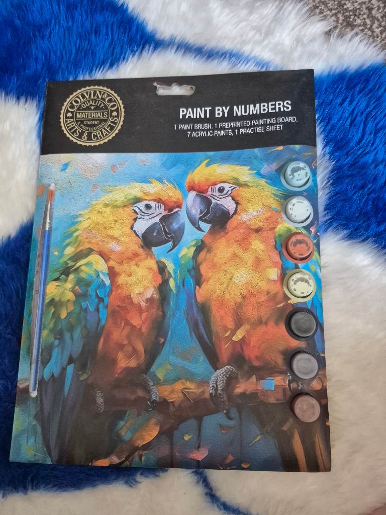 Paint by numbers brand new