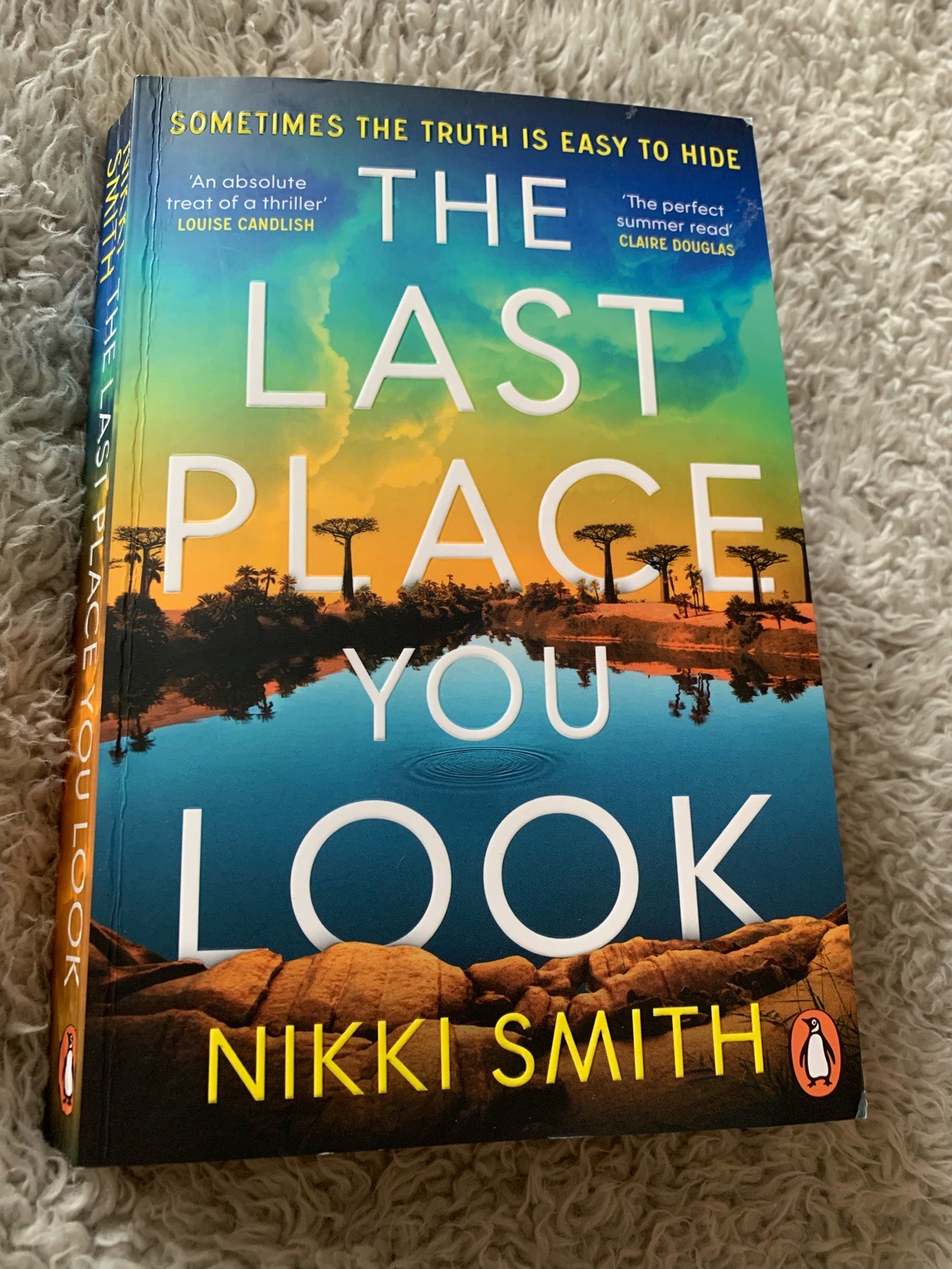 The last place you look nikki smith